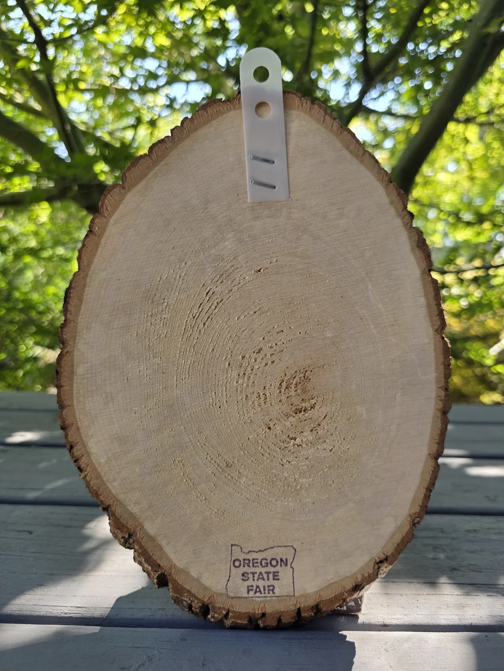 Wood Slice Wall Cabin Art with Wolf and Eagle